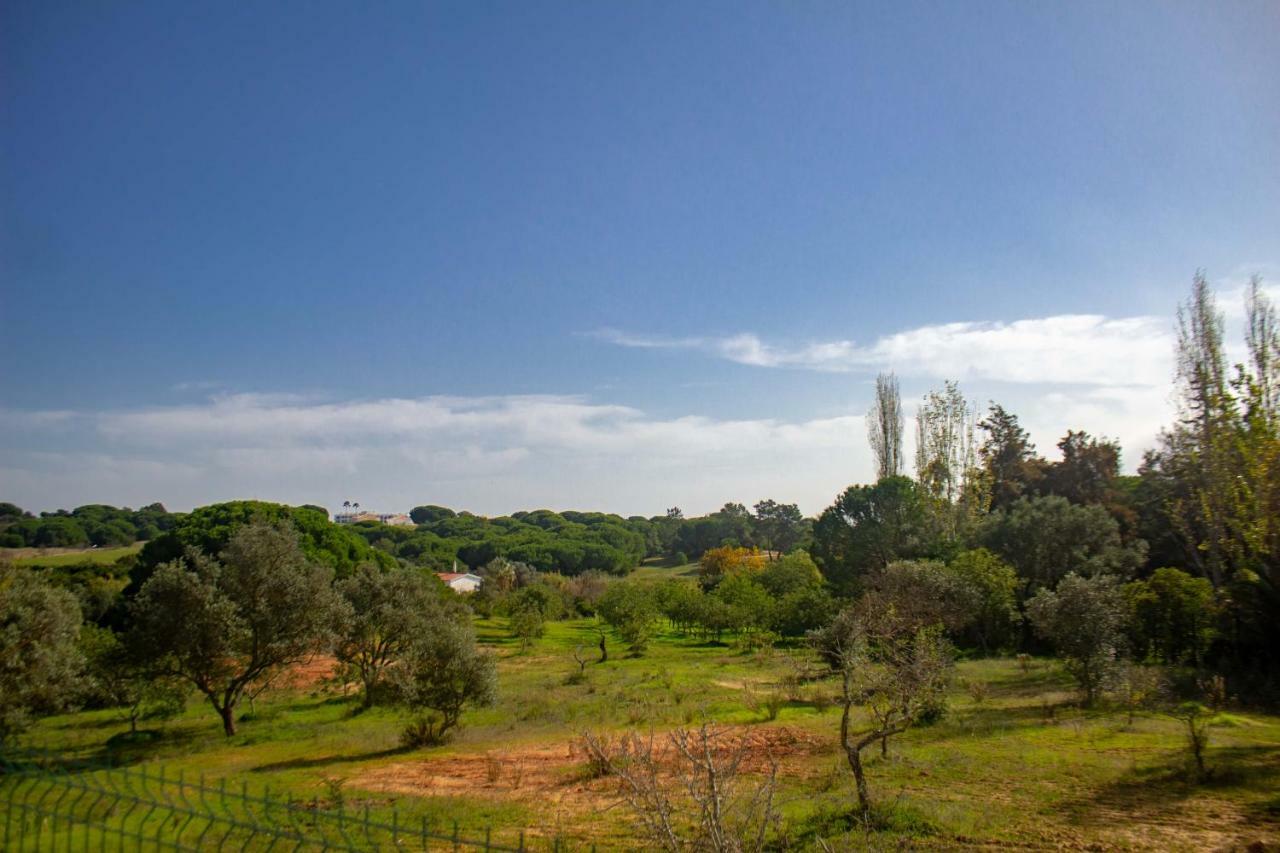 Villa Yvonne,Private Pool,Private Parking 1,7 Km From The Beatch Albufeira Luaran gambar